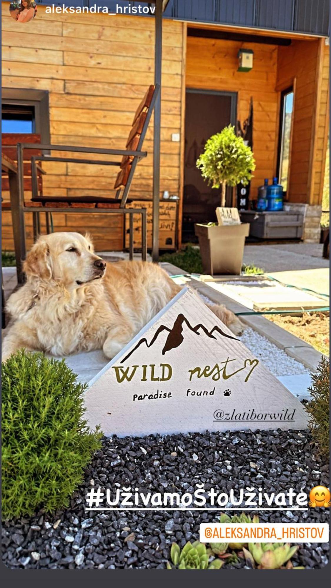 Wild Nest Zlatibor Bear Exterior foto